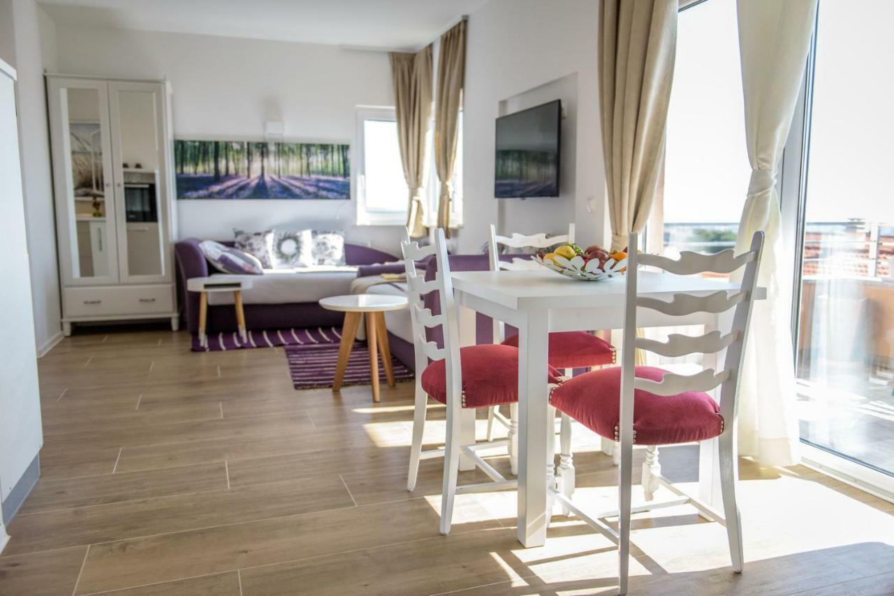Villa Vesna In Zadar Dış mekan fotoğraf